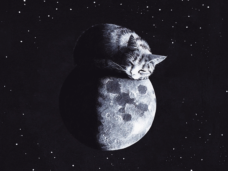 breathing cat on the moon